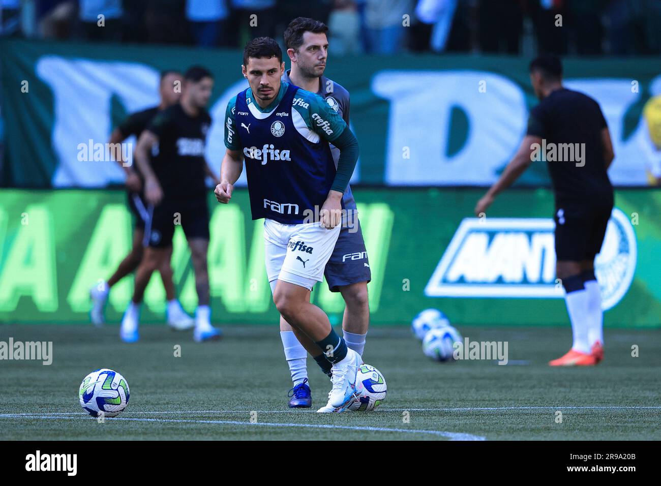 SP SAO PAULO 06/25/2023 BRAZILEIRO A 2023, PALMEIRAS X BOTAFOGO