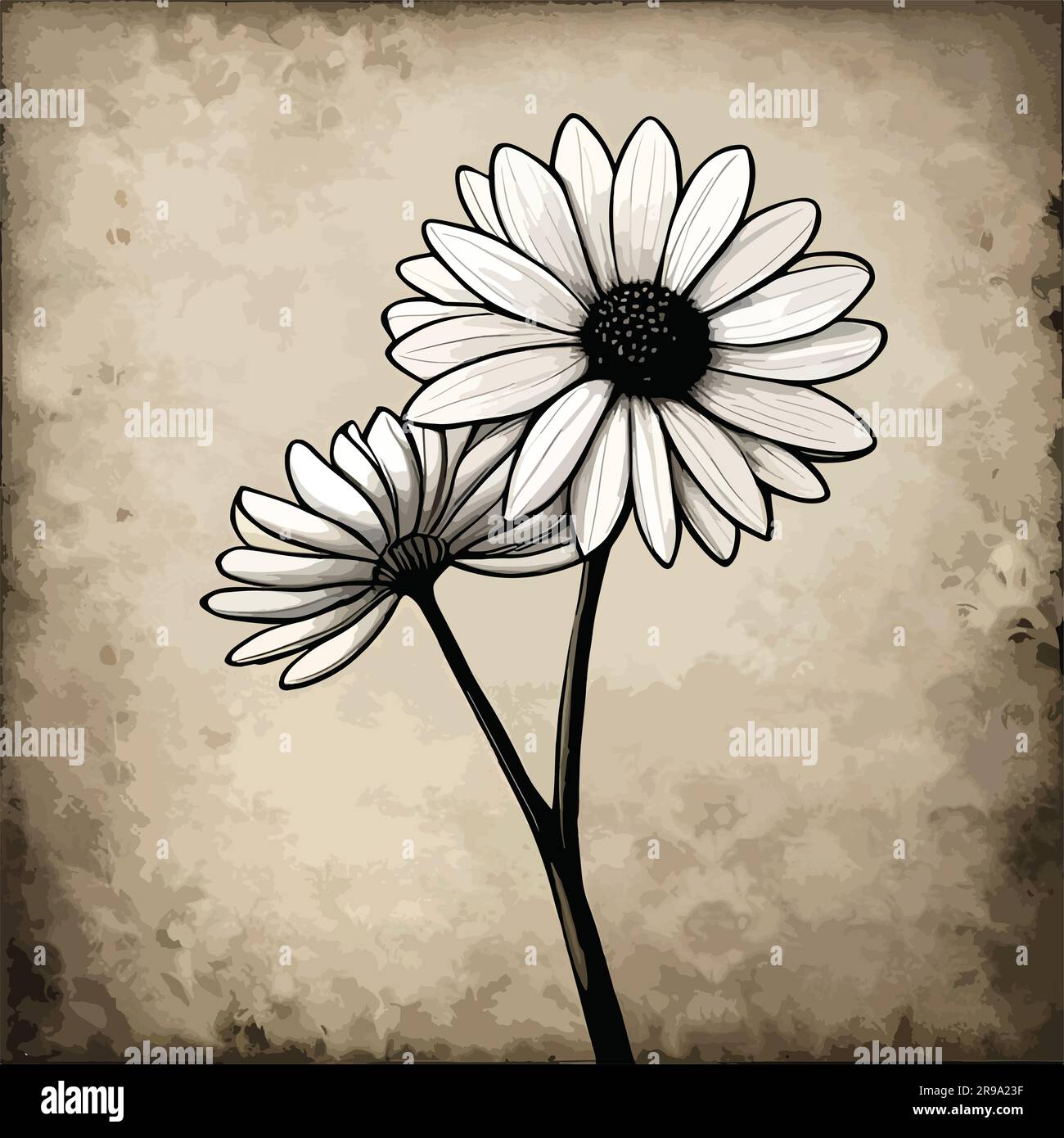 line drawing flower watercolor art Stock Vector Image & Art Alamy