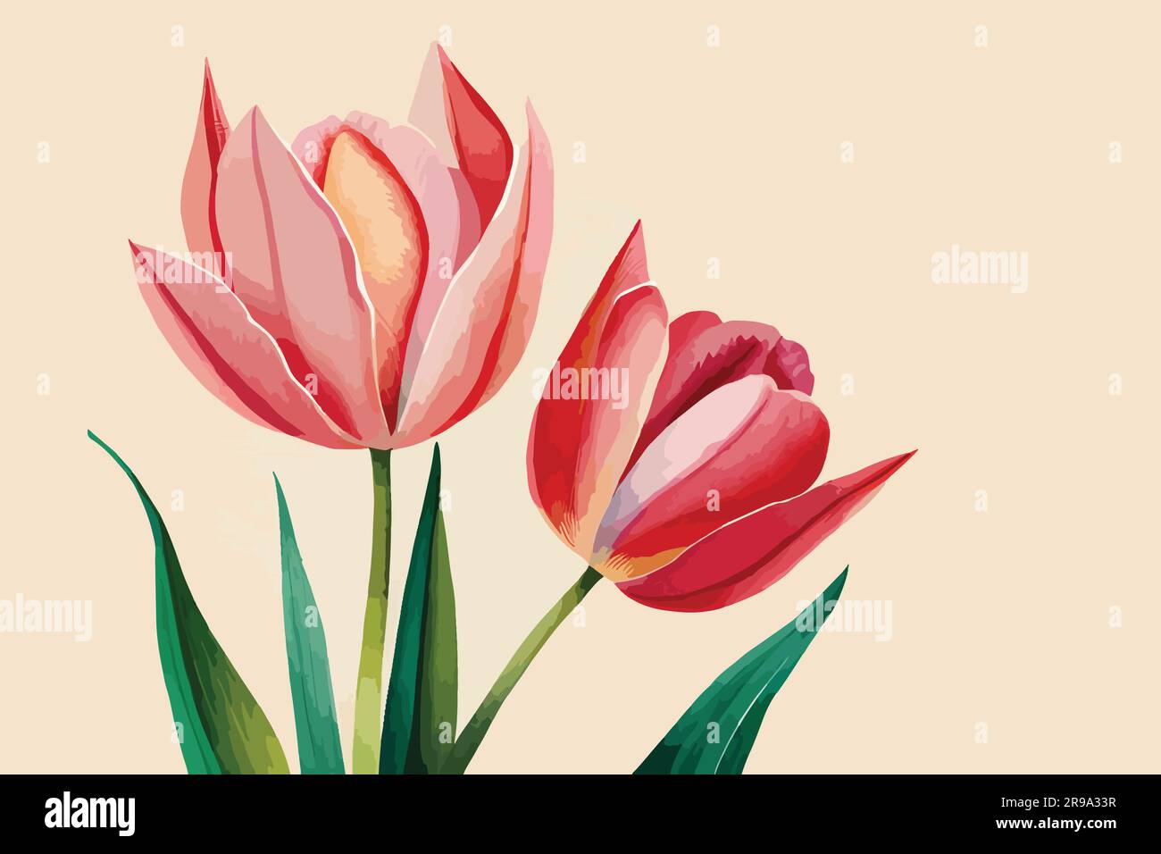 tulip flower watercolor art Stock Vector Image & Art Alamy