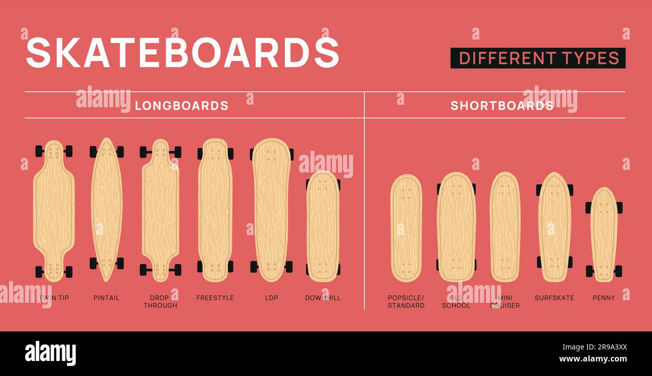 Cartoon skateboards types. Extreme sports. Equipment for skateboarding. Different  shapes and sizes infographic. Skating boards. Longboard with wheels Stock  Vector Image & Art - Alamy
