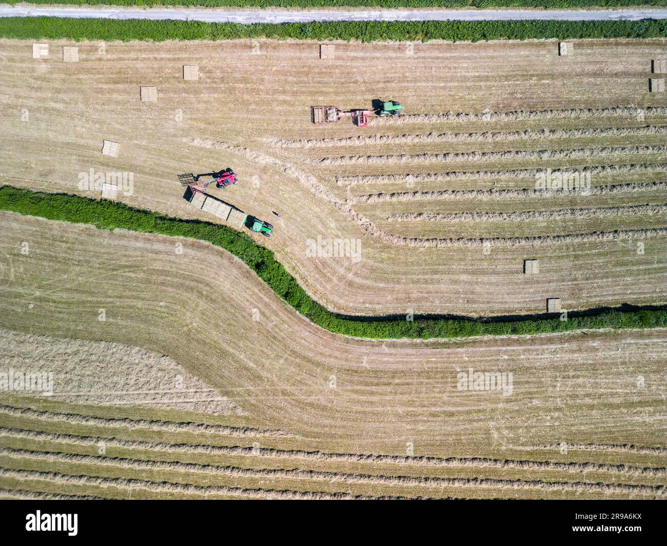 Hay cutting and harvesting with Farm Machinery bale grabber in summer ...