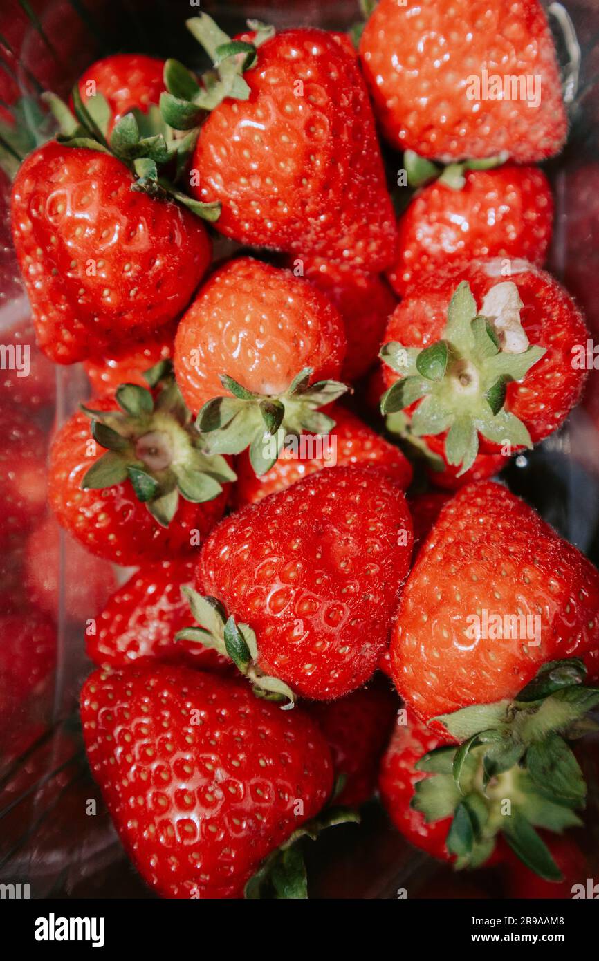 Attractive red berries fruits hi-res stock photography and images - Alamy