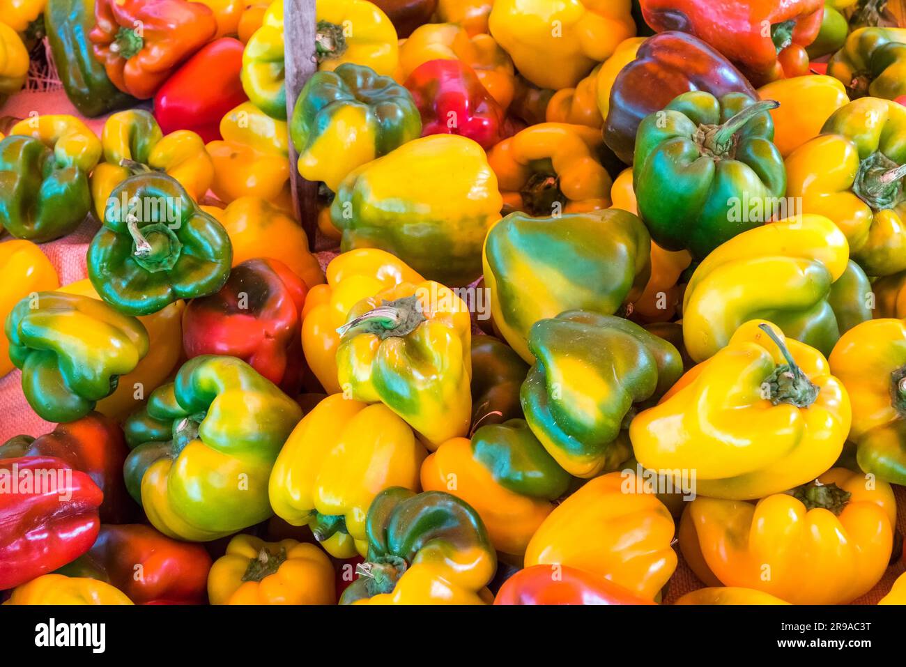 Peppers in different colours for sale at a market Stock Photo