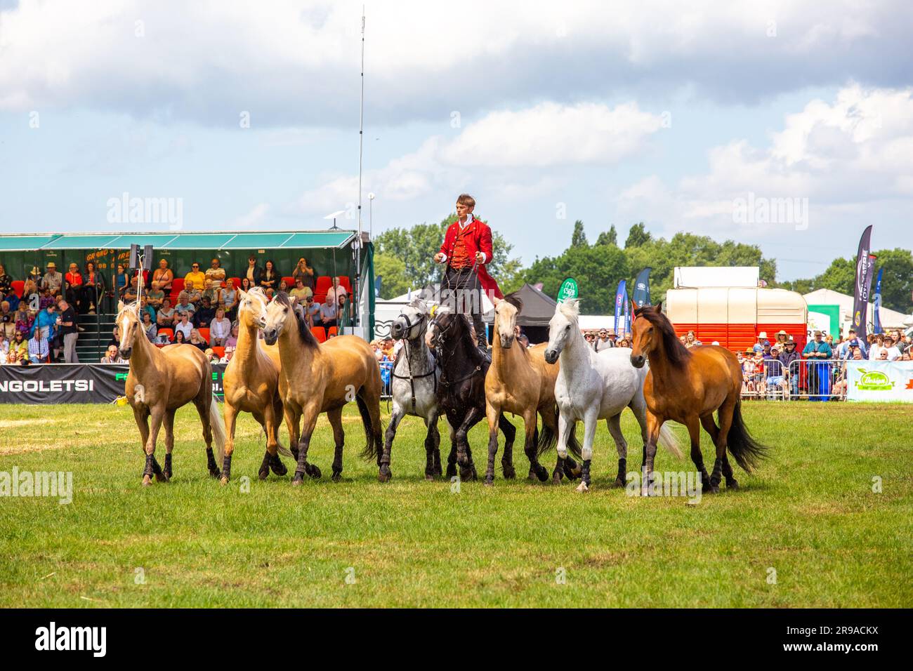 Ben Atkinson action horses giving a display at the Royal Cheshire