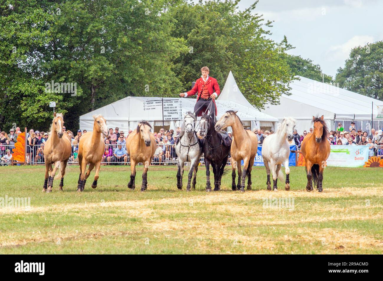 Ben Atkinson action horses giving a display at the Royal Cheshire