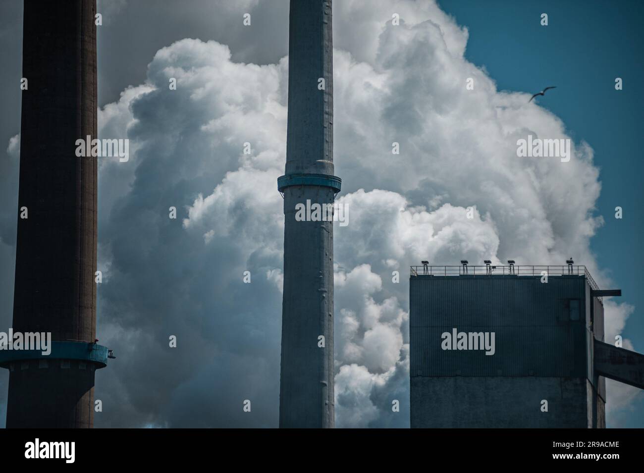 TaTa Steel. Ijmuiden, The Netherlands Saturday 24th June, 2023. Climate  activists, Green Peace and Extinction Rebellion held an illegal  demonstration Stock Photo - Alamy