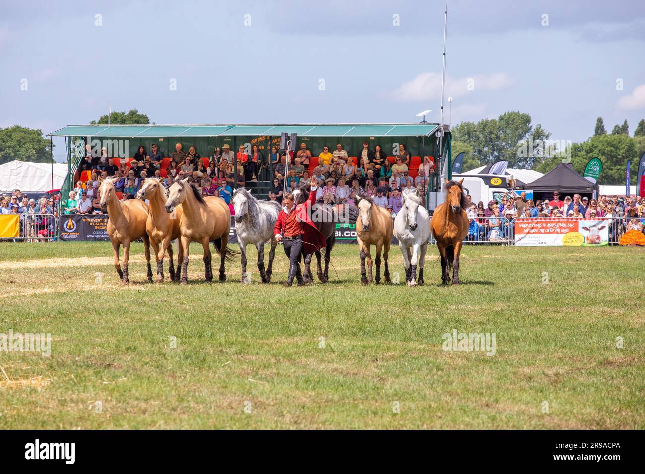 Liberty horse display hi-res stock photography and images - Alamy
