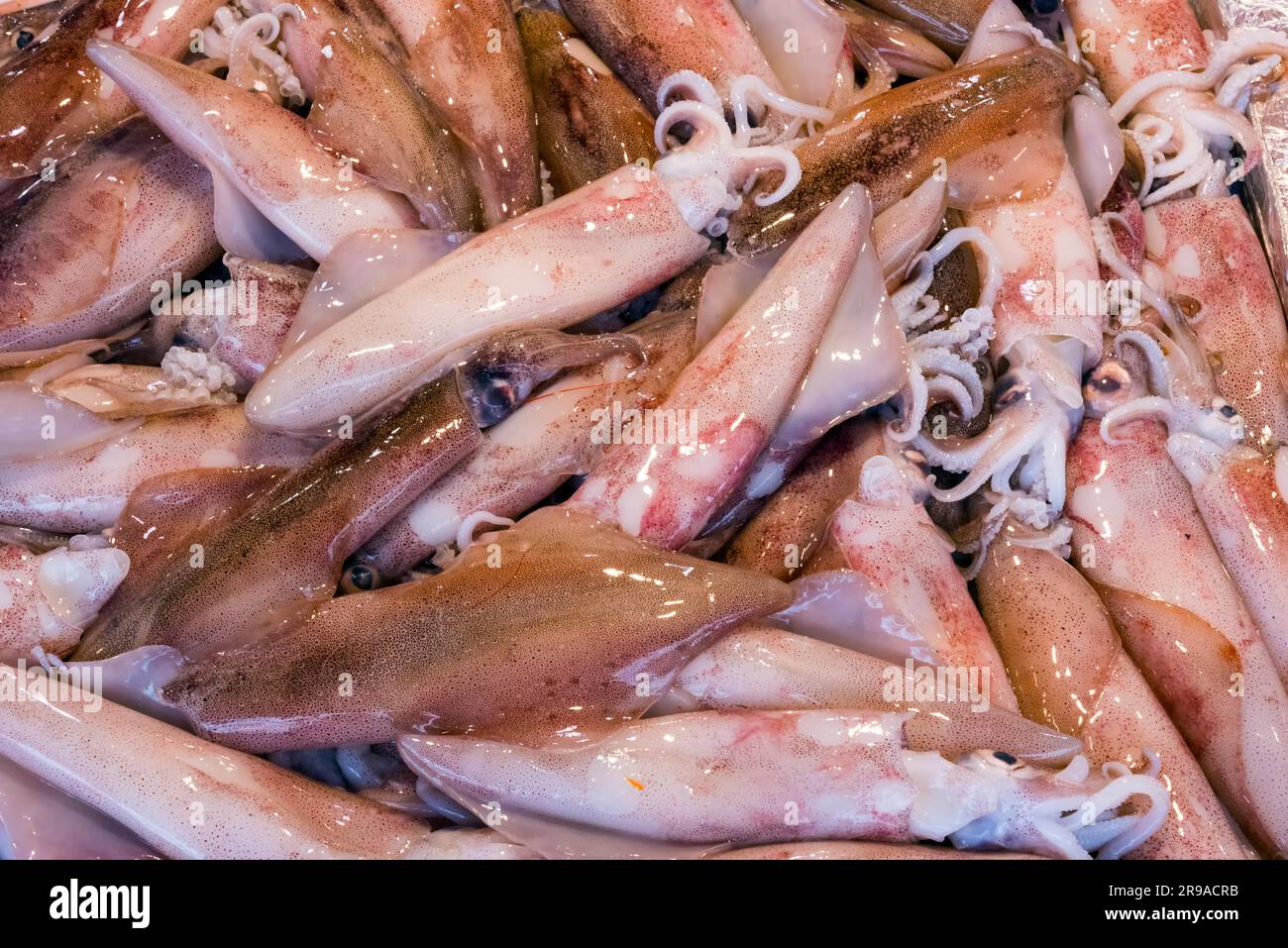 Fresh ink for sale at a market in Palermo, Sicily Stock Photo - Alamy