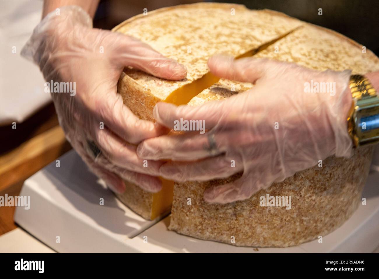 Cheesemonger cutting wheel of 7 month aged Cloth Bound Cheddar, Grafton Village Cheese Shop, Grafton, Vermont, USA Stock Photo