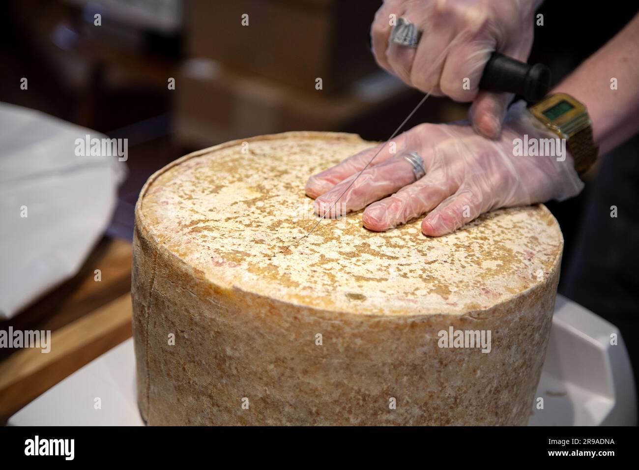 Cheesemonger cutting wheel of 7 month aged Cloth Bound Cheddar, Grafton Village Cheese Shop, Grafton, Vermont, USA Stock Photo