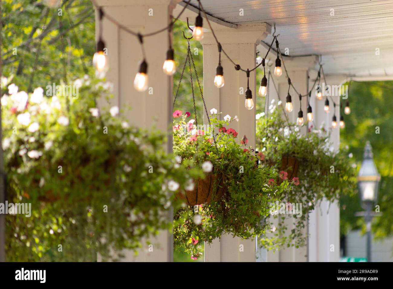 Hanging Baskets on Front Porch with decorative lights, Grafton, Vermont, USA Stock Photo