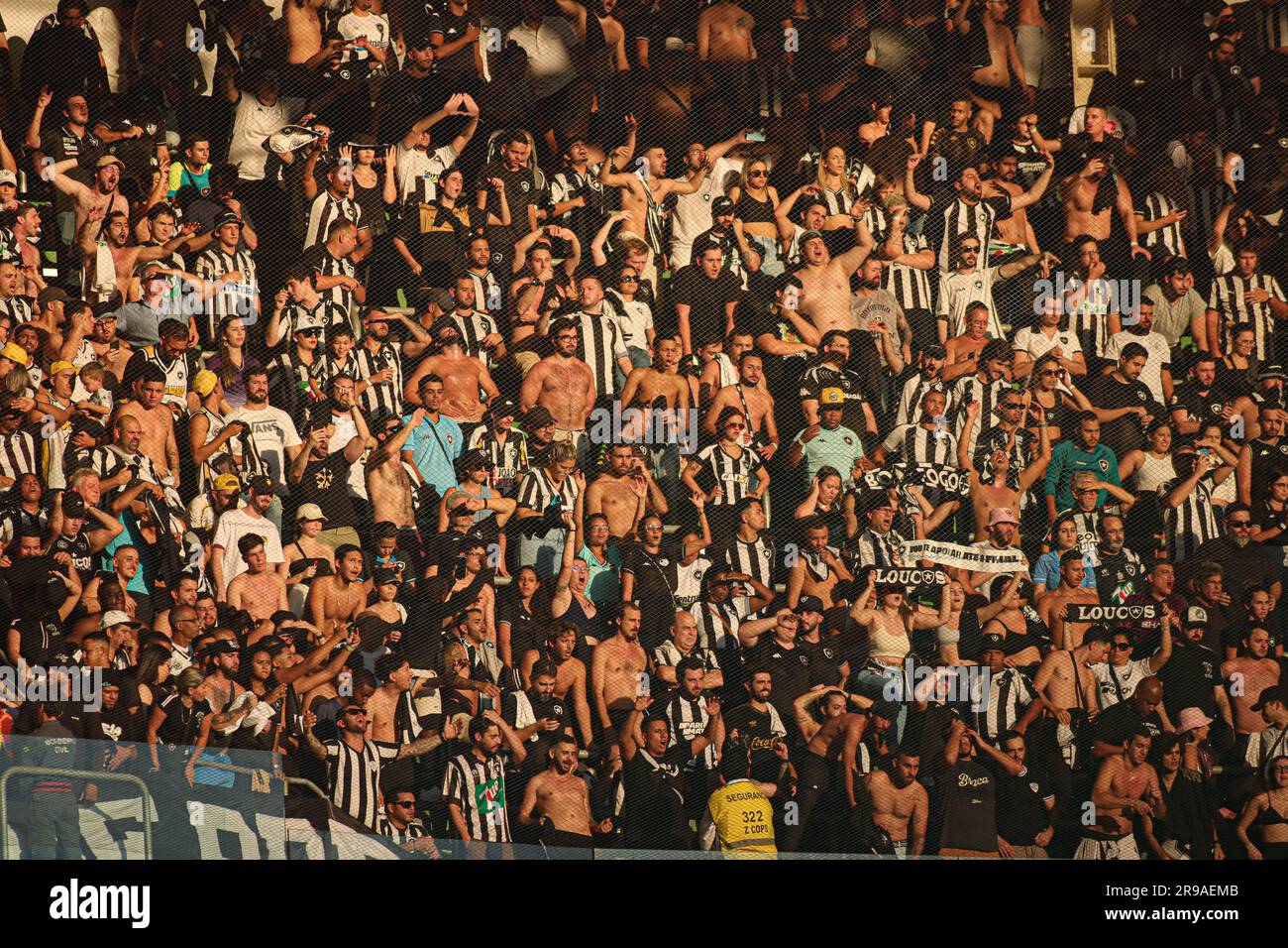 SÃO PAULO-SP, - 25.06.2023: Torcedores do Botafogo, durante a partida entre Palmeiras e Botafogo, pela 12ª rodada do Campeonato Brasileiro Série A 2023 no Allianz Parque, neste domingo 25. Foto: Wanderson Oliveira/DiaEsportivo Credit: SPP Sport Press Photo. /Alamy Live News Stock Photo