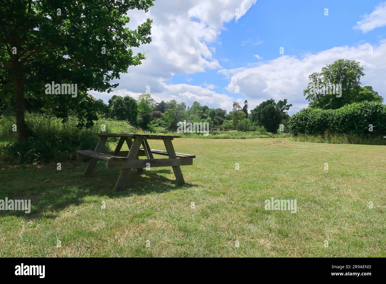 A picnic table under a tree in the Kent countryside Stock Photo Alamy