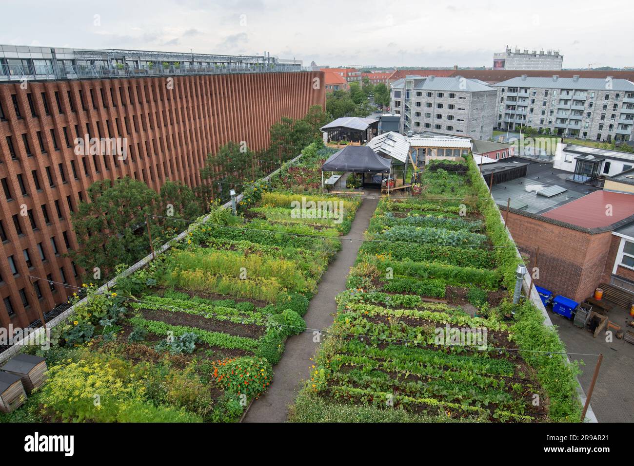 Picture of Aerial view of a lush green organic rooftop garden in Copenhagen ...