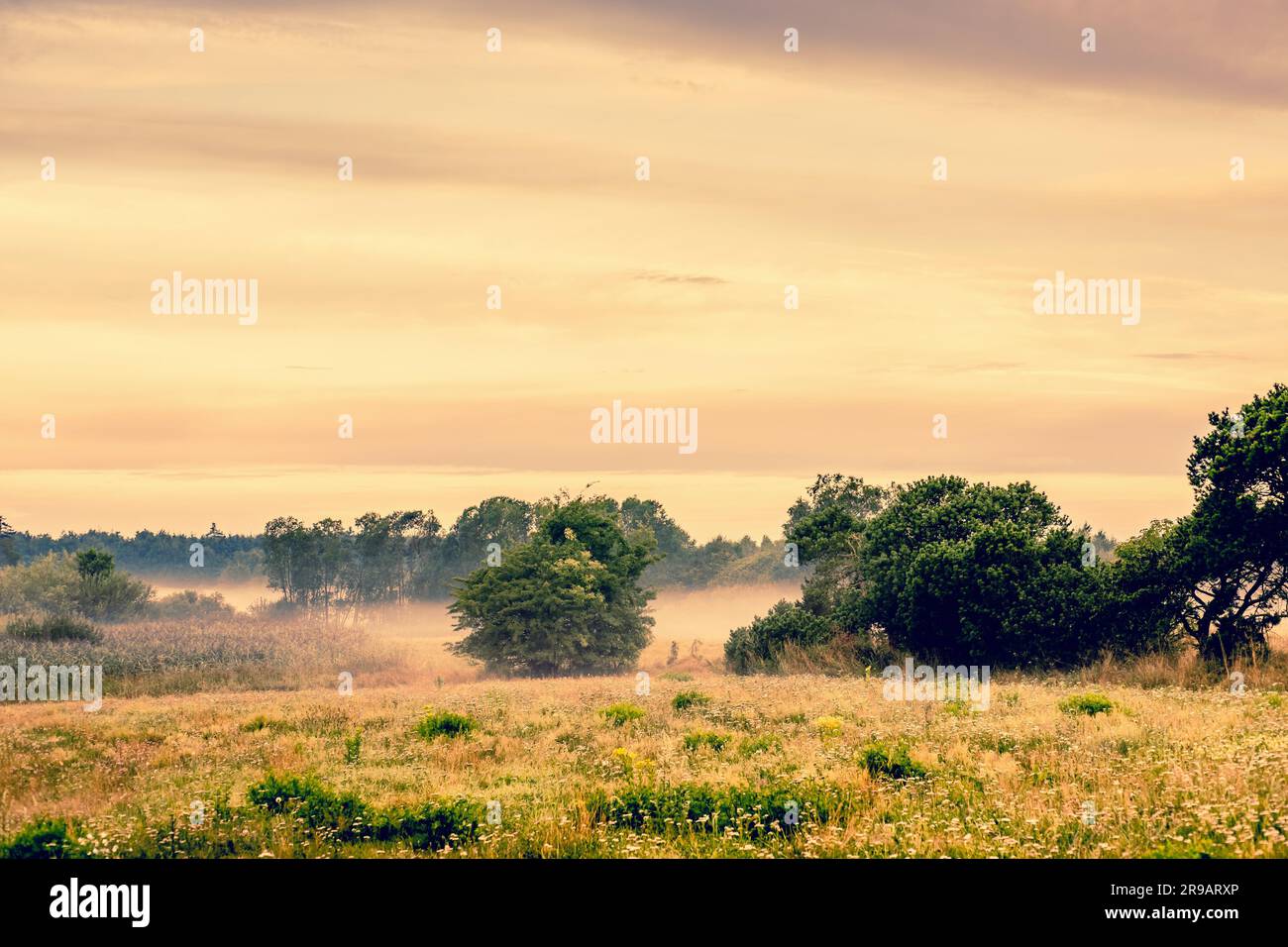 Countryside landscape with misty weather Stock Photo