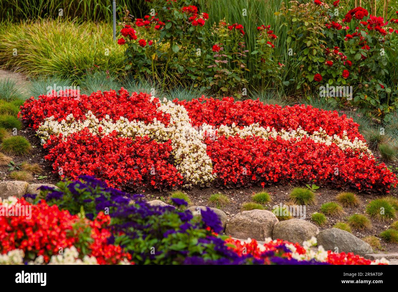 Flower garden with red and white flowers illustrating the danish flag Stock Photo