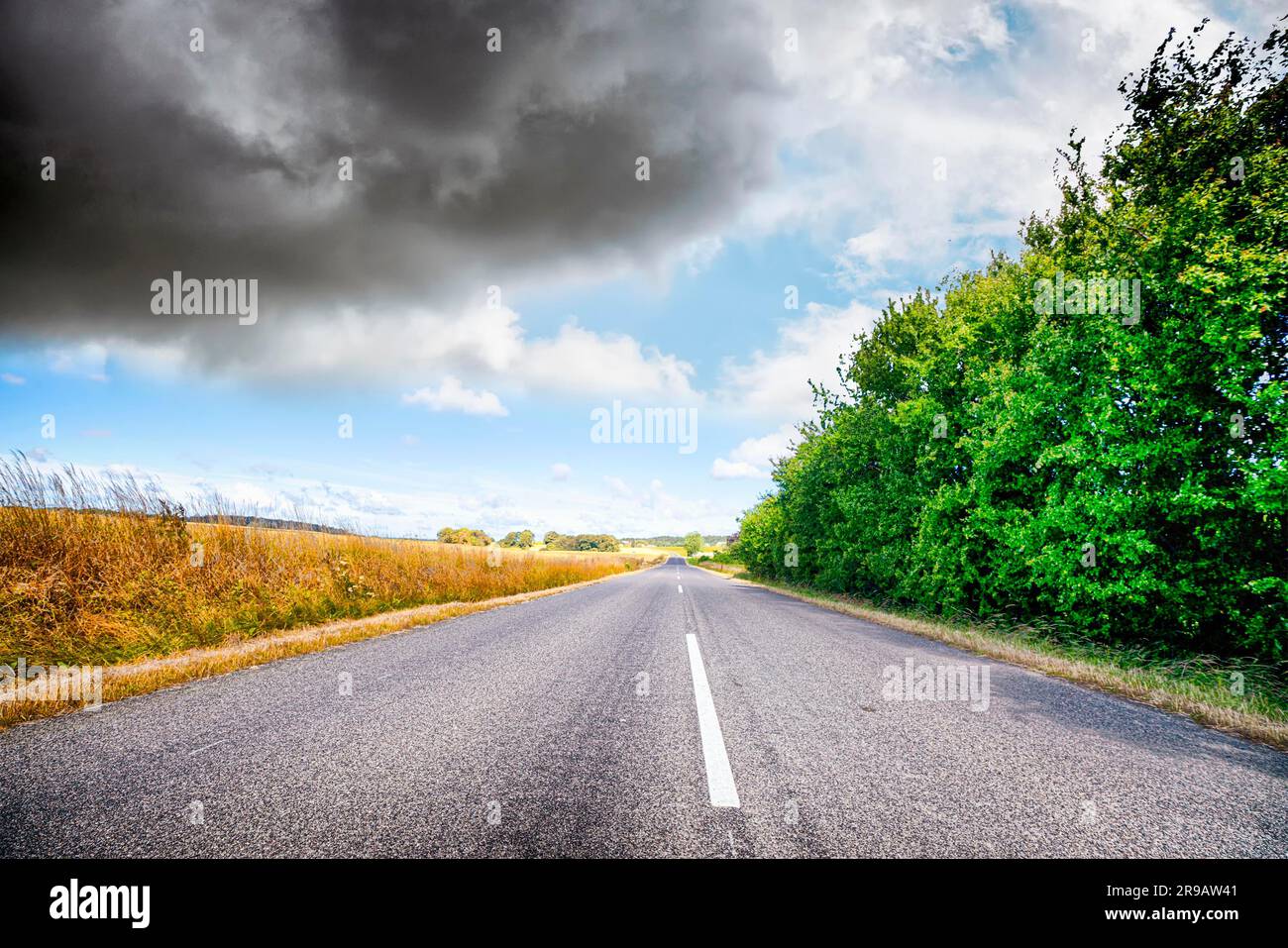 Asphalt road in a rural landscape with vibrant colors under a cloudy ...