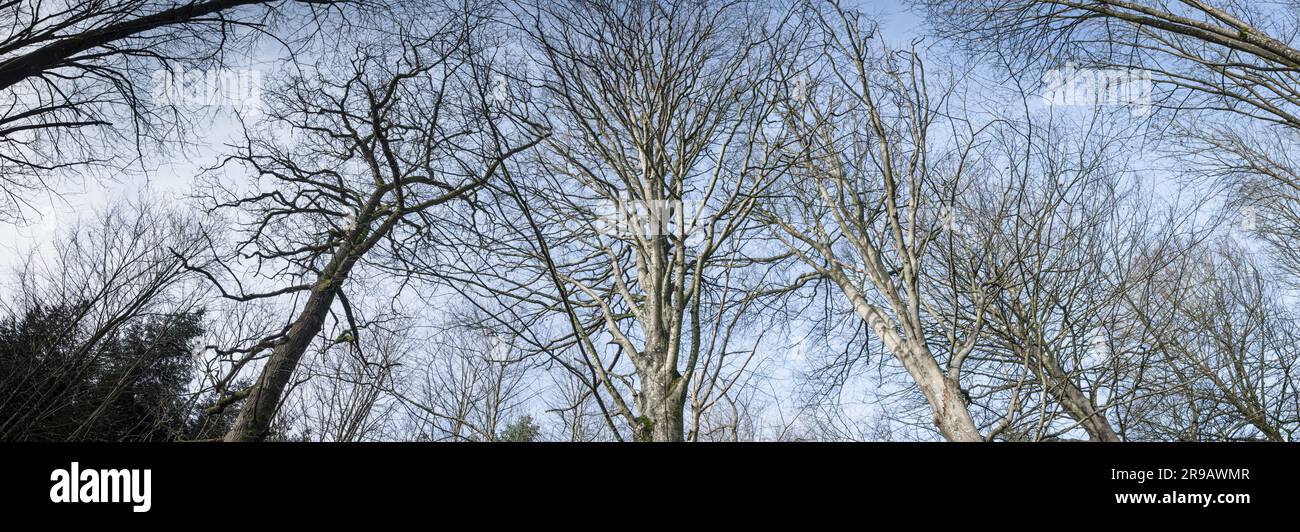 Reach reaching for sky hi-res stock photography and images - Alamy