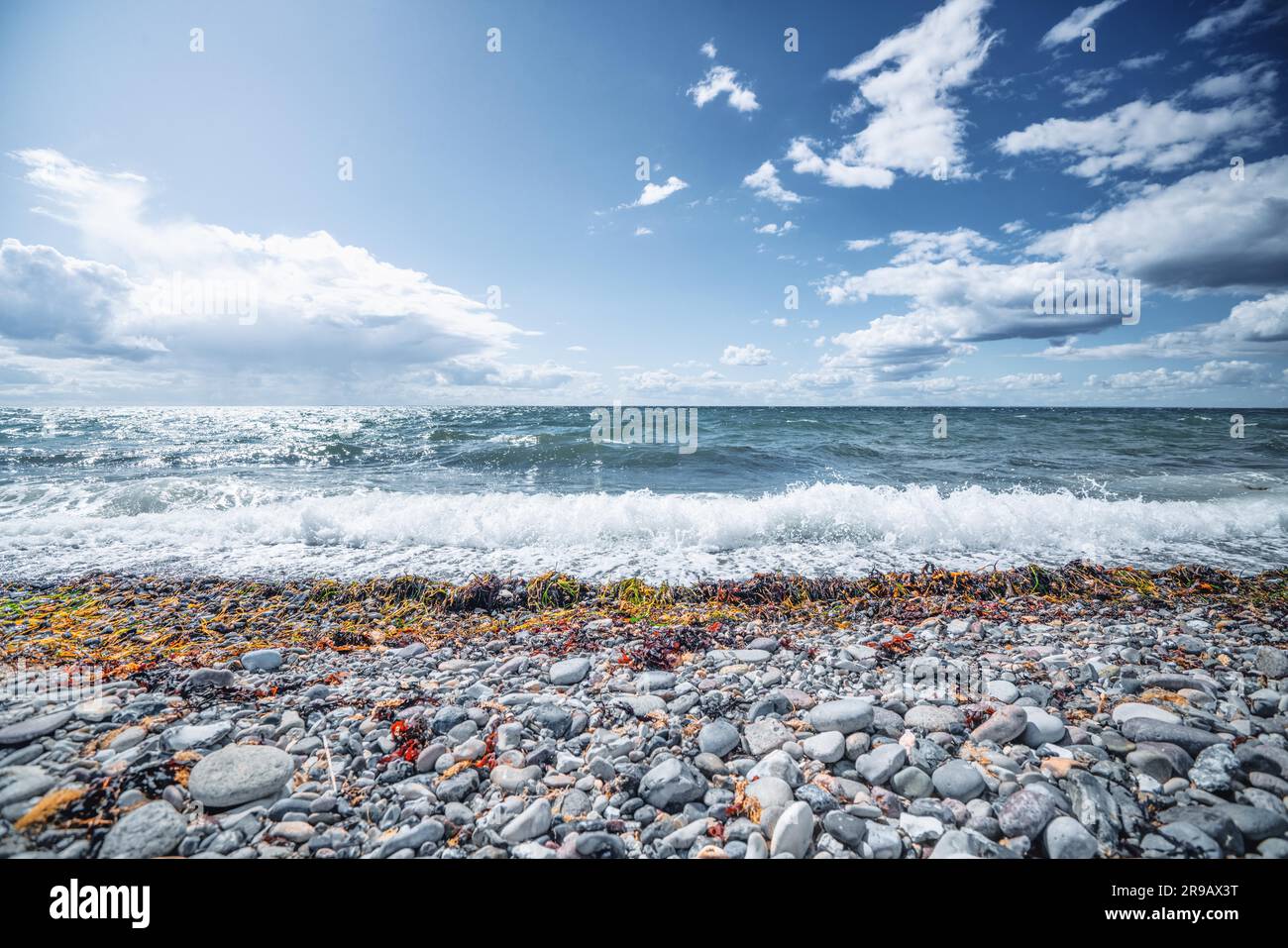 Nordic beach with pebbles and seaweed with waves coming in on the shore