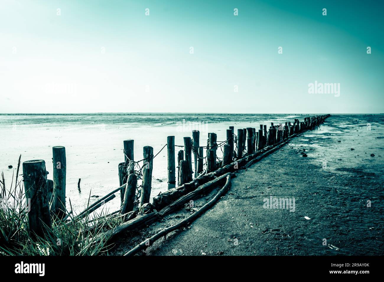 Wooden poles on a low tide beach Stock Photo