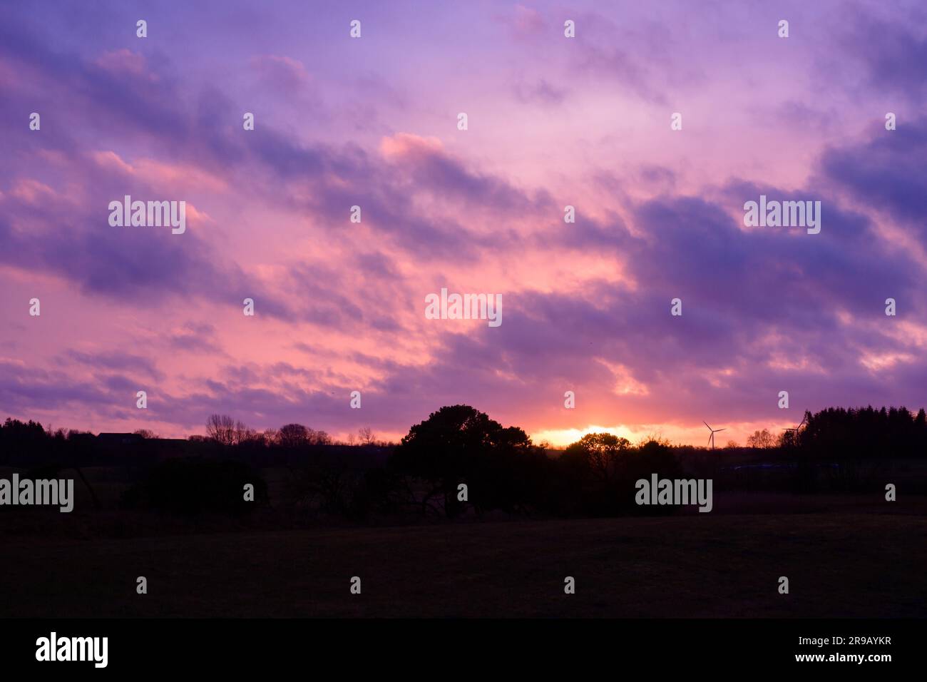 Beautiful autumn landscape wiht dramatic purple sky Stock Photo