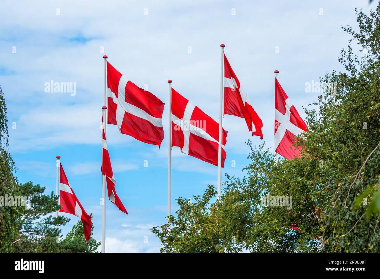 Six danish flags on flagpoles on a summers day Stock Photo