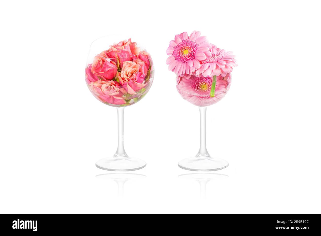 Marguerite and rose flowers in tall glasses Stock Photo