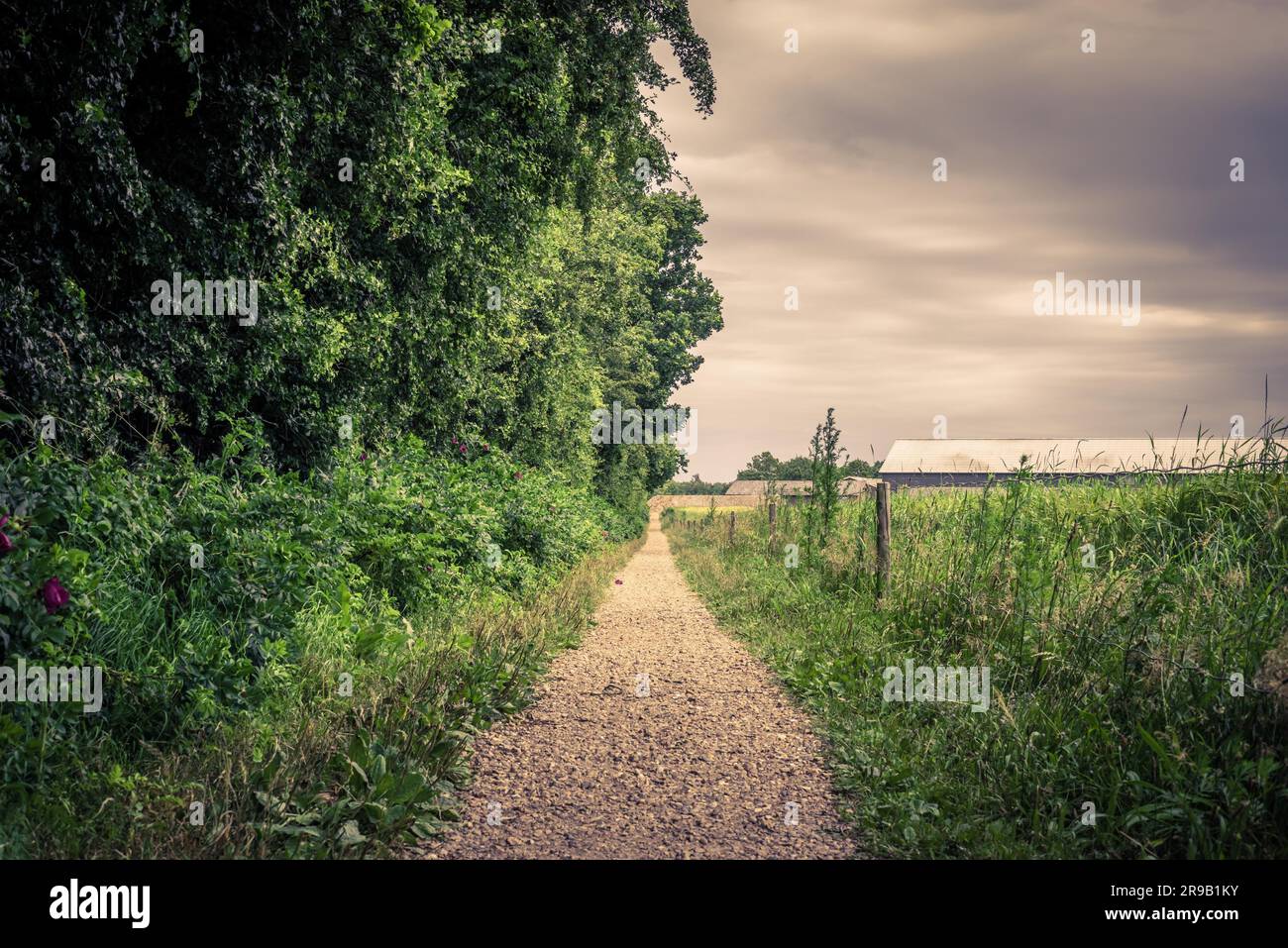 Long outdoor path in dark cloudy weather Stock Photo