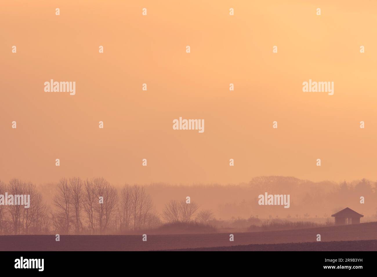 Farm house on a misty field in the sunrise Stock Photo