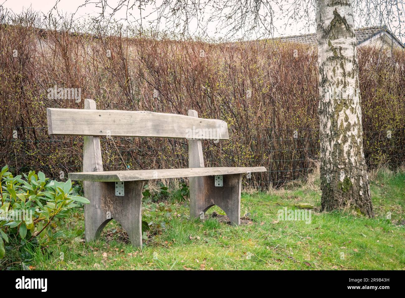 Wooden garden bench in the spring in the daytime Stock Photo