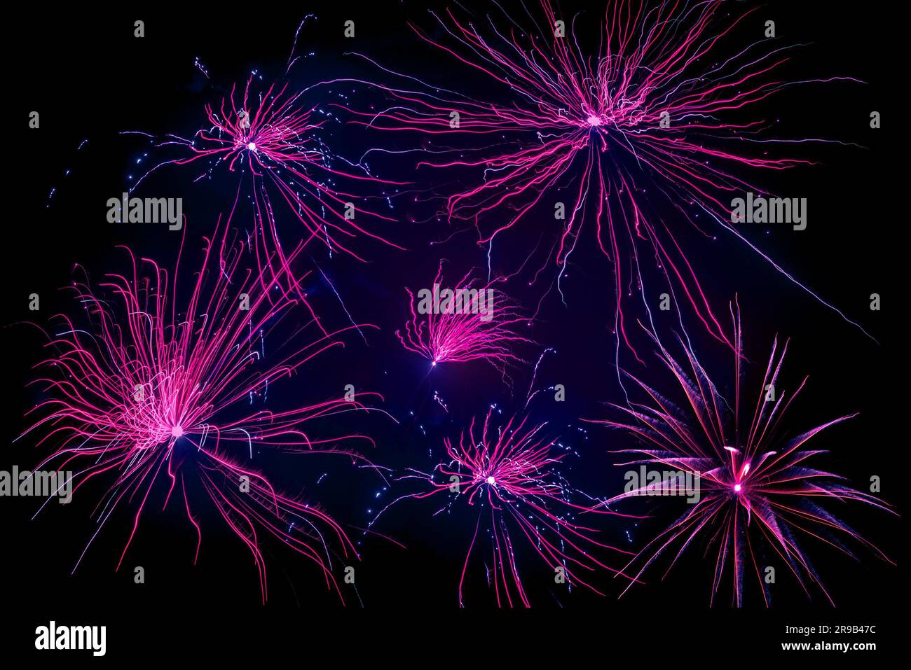 Violet fireworks on black background at new year Stock Photo