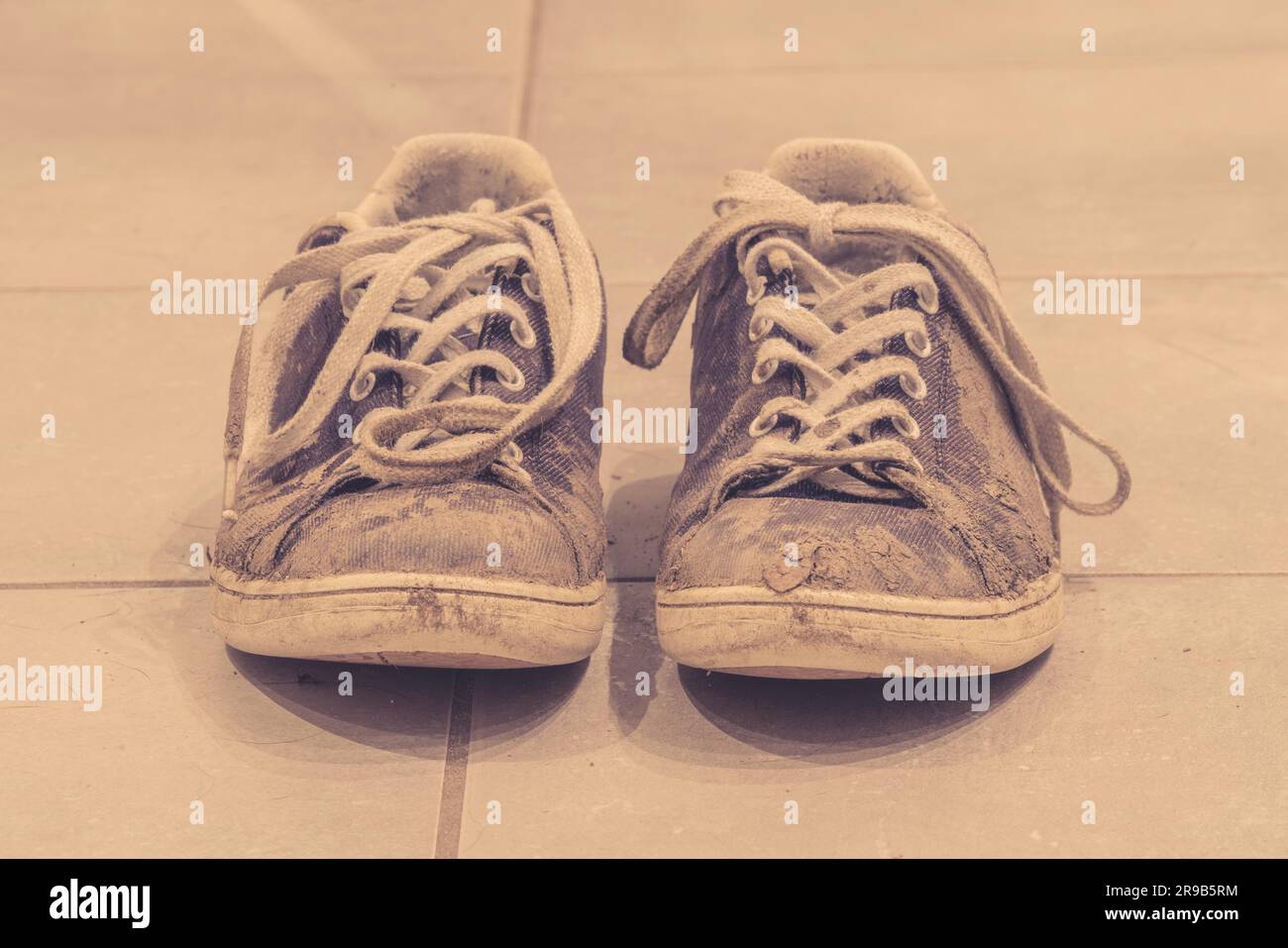 Muddy sneaker shoes with laces in sepia color Stock Photo