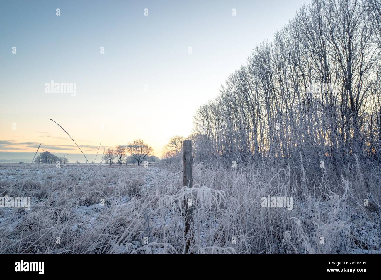 Fence post on a frosty field in the winter Stock Photo - Alamy