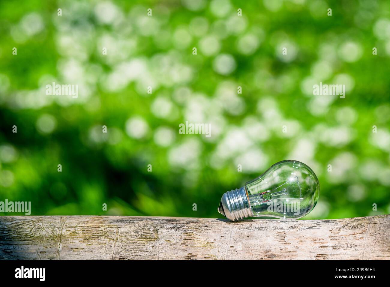 Light nature bright hi-res stock photography and images - Alamy