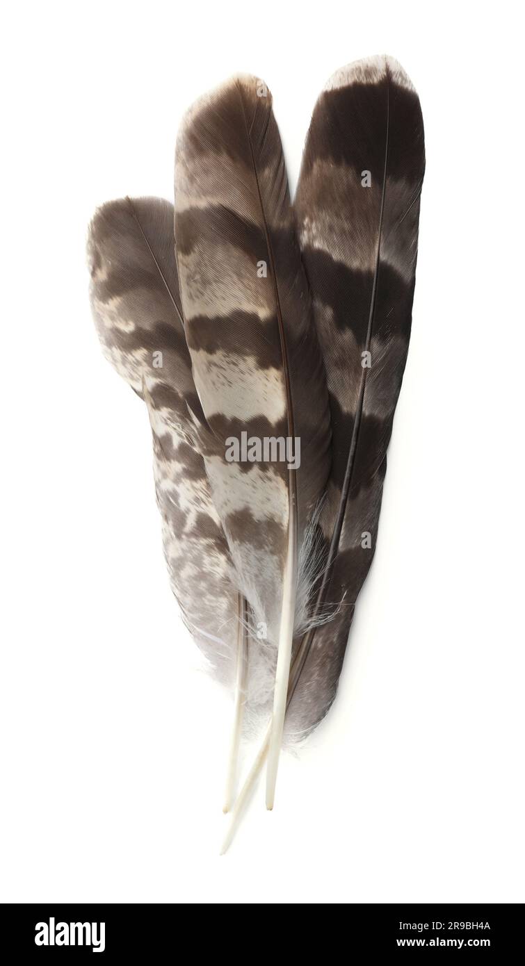 Top vertical view three Cut Out Stock Images & Pictures Alamy