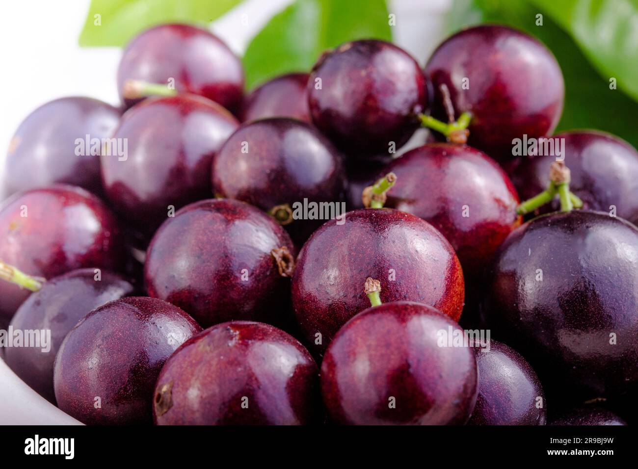 Jabuticaba, a fruit full of healthy properties, close-up view Stock ...