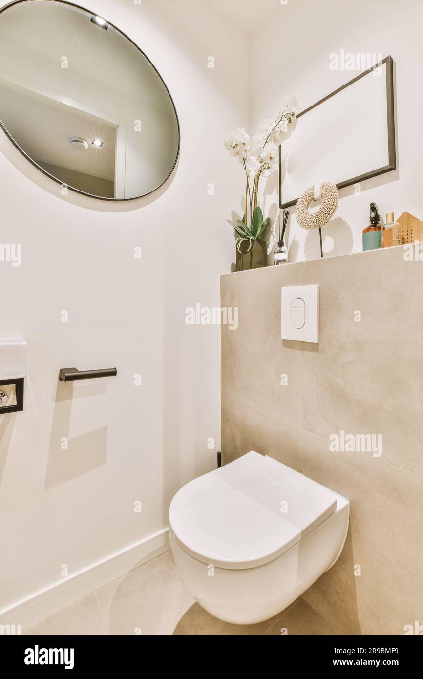 a bathroom with a mirror above the toilet and a vase on the wall next