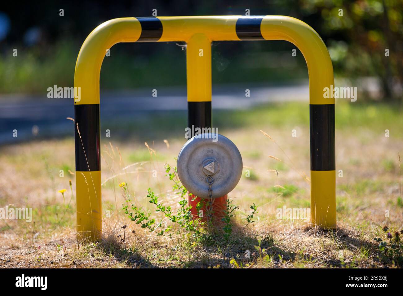 Bonn, Germany. 25th June, 2023. View of the fire department's fire