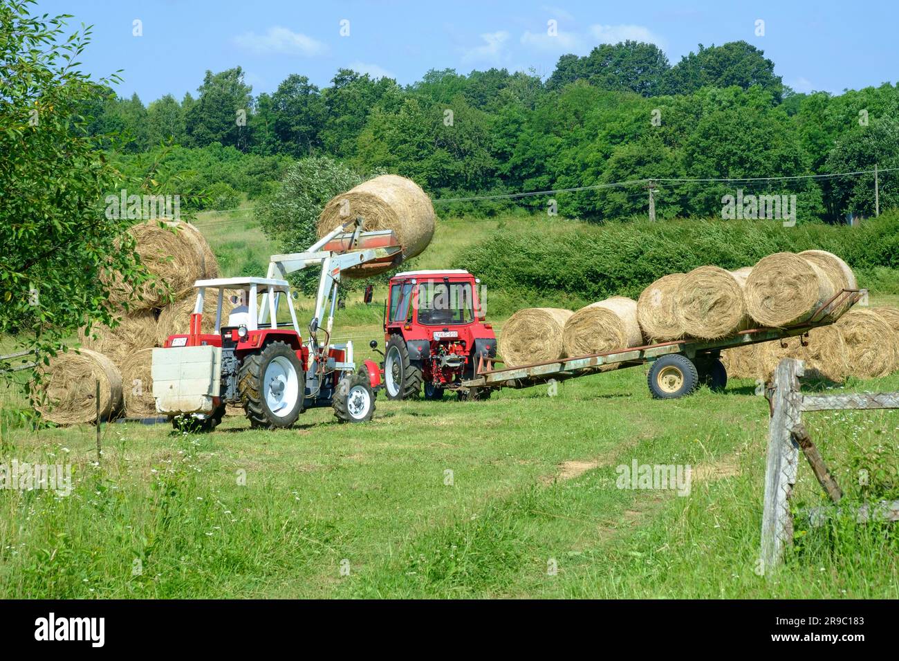 steyr 650 tractor being used to stack round hay bales unloaded from trailer after harvesting zala county hungary Stock Photo