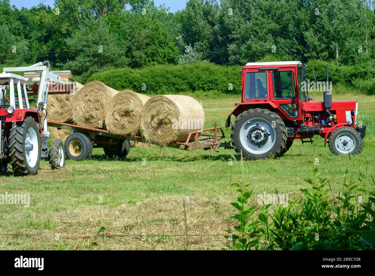 steyr 650 tractor being used to stack round hay bales unloaded from trailer after harvesting zala county hungary Stock Photo