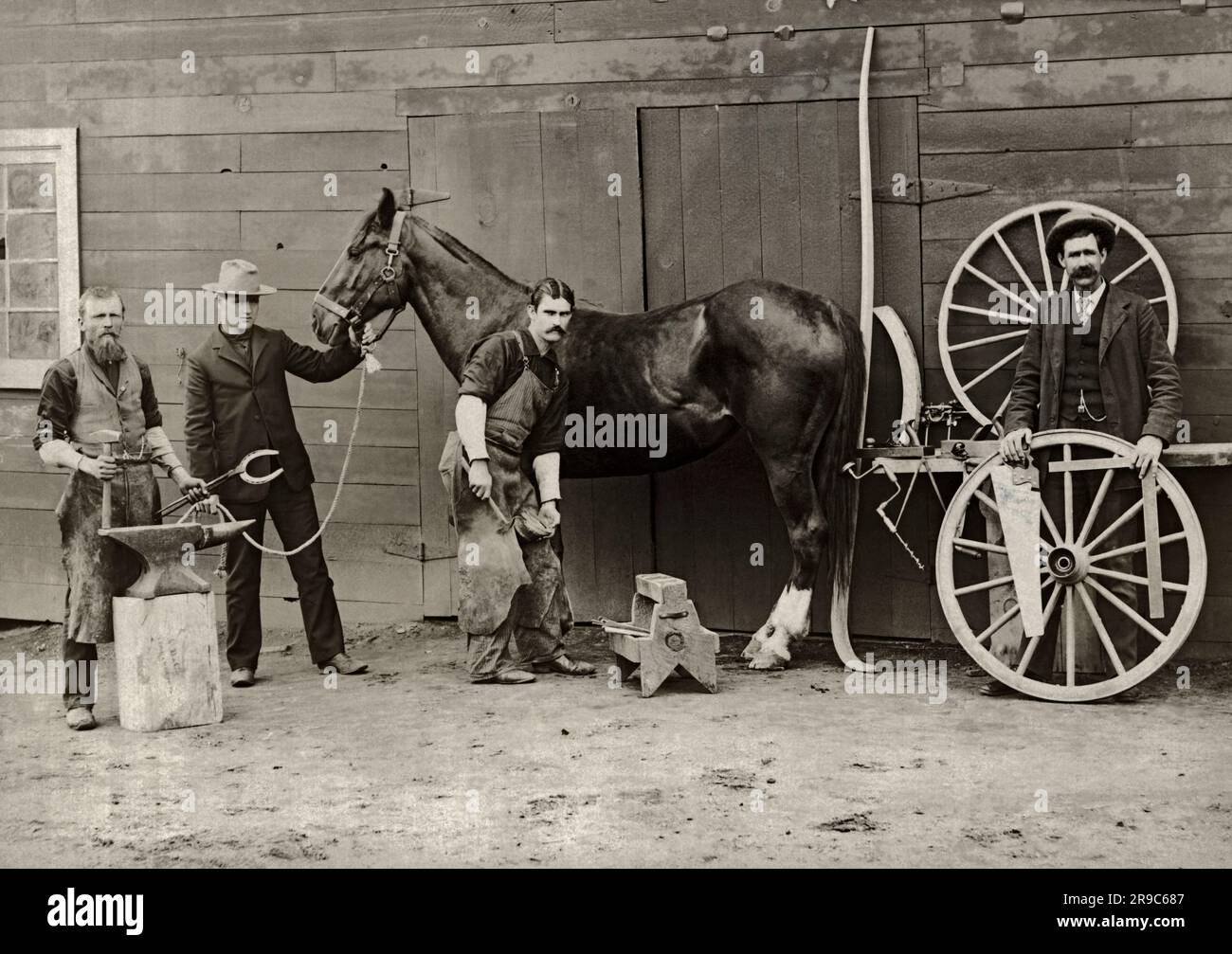 Susanville, California c. 1885 A farrier shoeing a horse while a