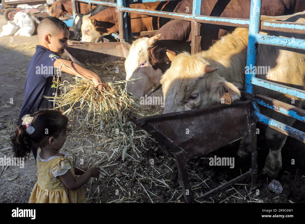 June 26, 2023, Gaza City, The Gaza Strip, Palestine Palestinian