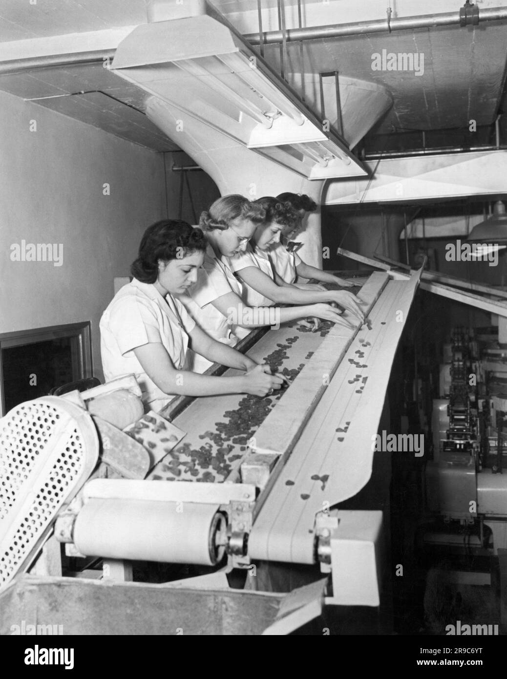 Greensboro, North Carolina:  August, 1942 Women sorting cough drops on the quality control line at the Vicks Cough Drops factory. Stock Photo