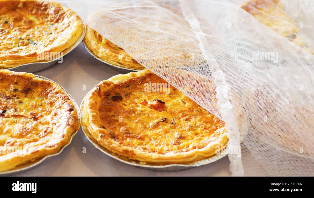 Beautiful Where Can I Buy Quiche Capture Photography Beautiful Where Can I Buy Quiche Capture Photography