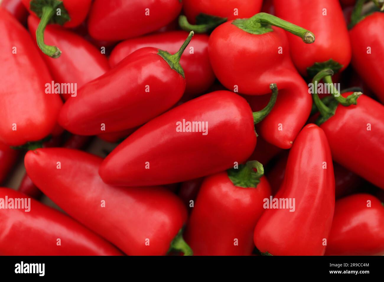 Red hot chili peppers as background, top view Stock Photo - Alamy