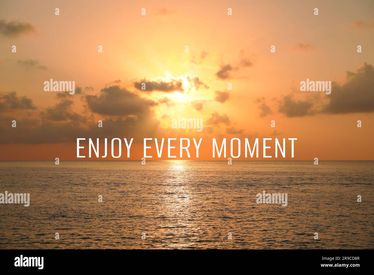 Best Enjoy Every Moment Royalty-Free Images, Stock Photos & Pictures