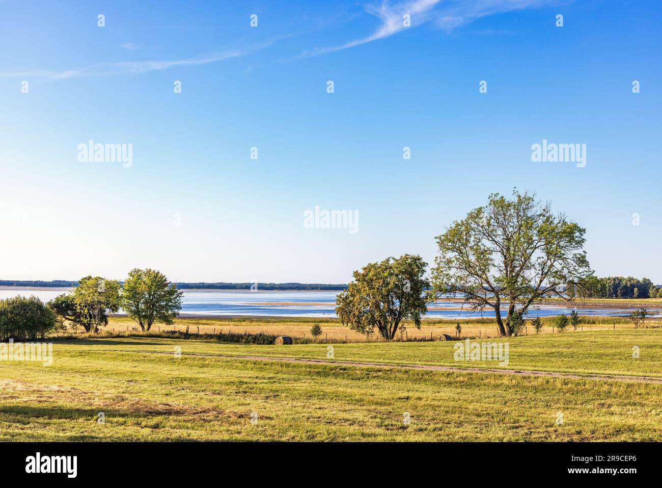 Beautiful view lake green trees hi-res stock photography and images - Alamy