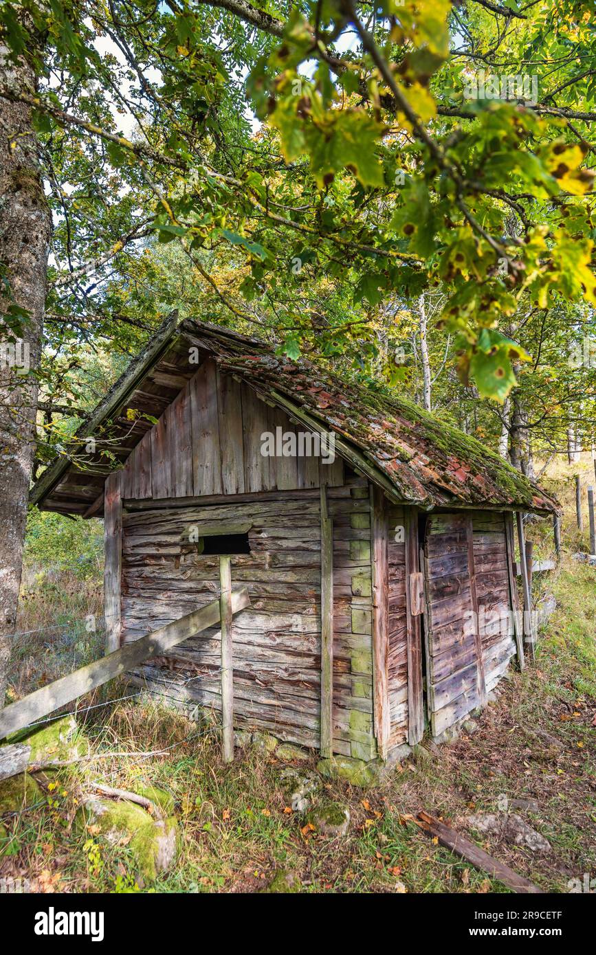 Random Old Shed Idyllic old shed in hi-res stock photography and images - Alamy