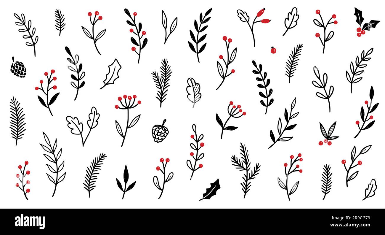 Hand drawn vector winter floral elements. Winter branches and
