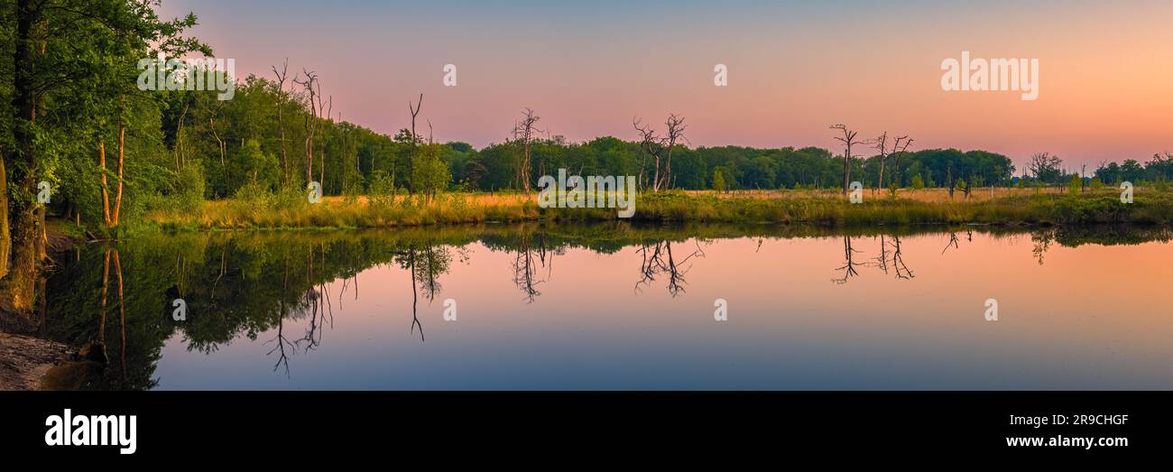 A 3:1 panorama photo of a sunrise at nature reserve Appelbergen, a beautiful piece of nature in Glimmen, on the border of the province of Drenthe and Stock Photo